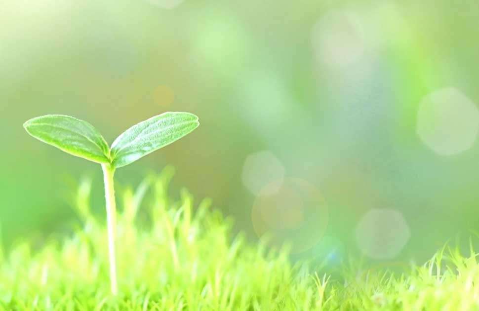 キャバクラの仕事をはじめる新人が多いのは春