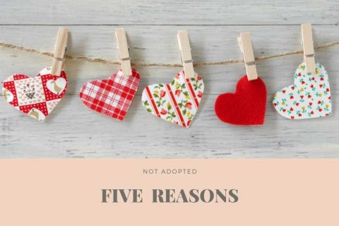 なぜ落ちる!?キャバクラ未経験の女の子が面接で不採用になる5つの理由